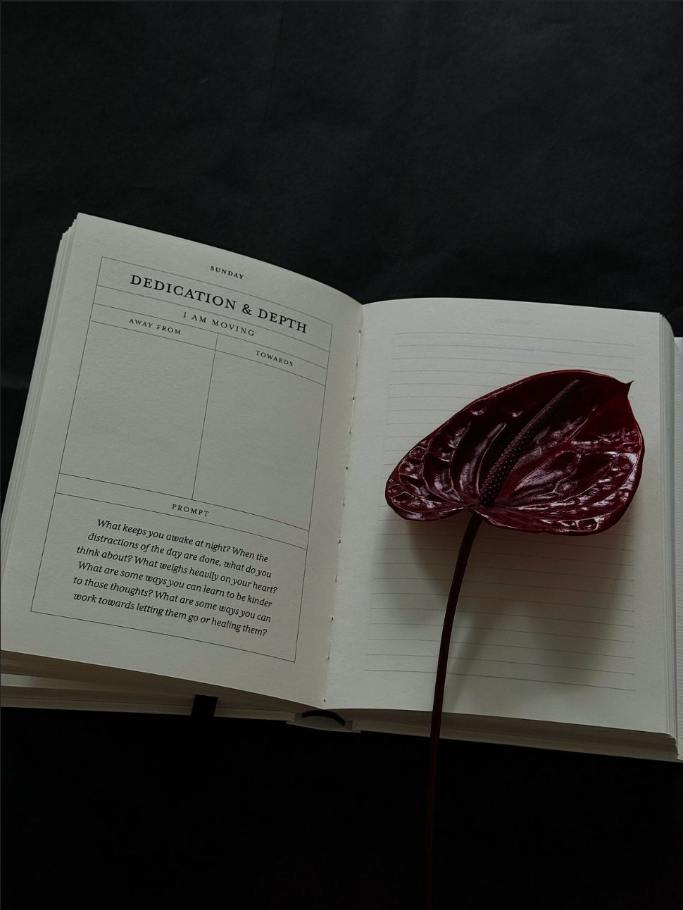 The Becoming Journal - A Guided Journal