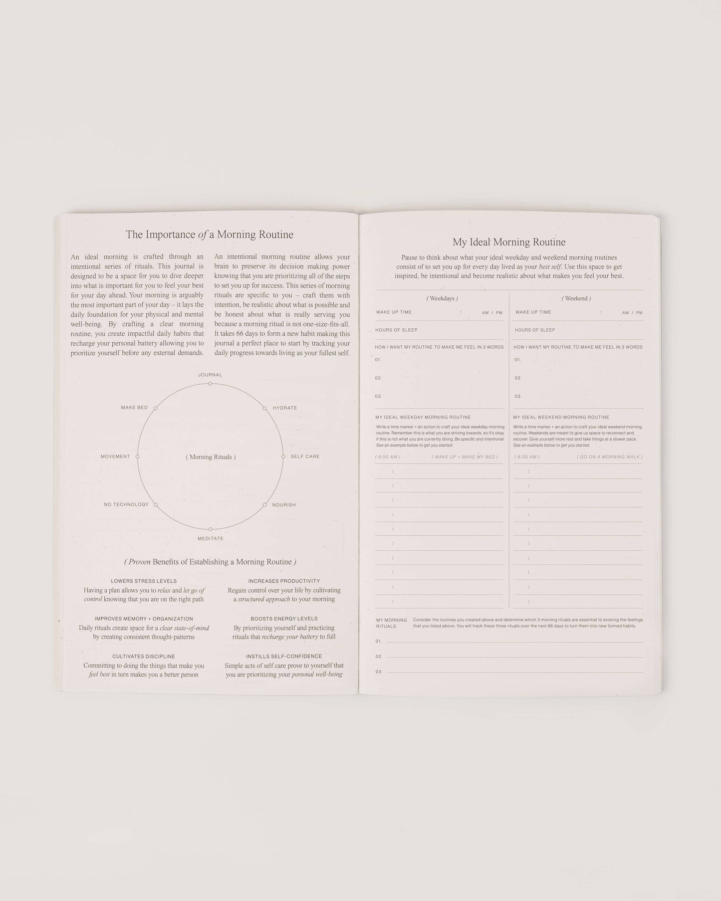 Wilde House Paper - Morning Routine Journal - faithfullyfocusd