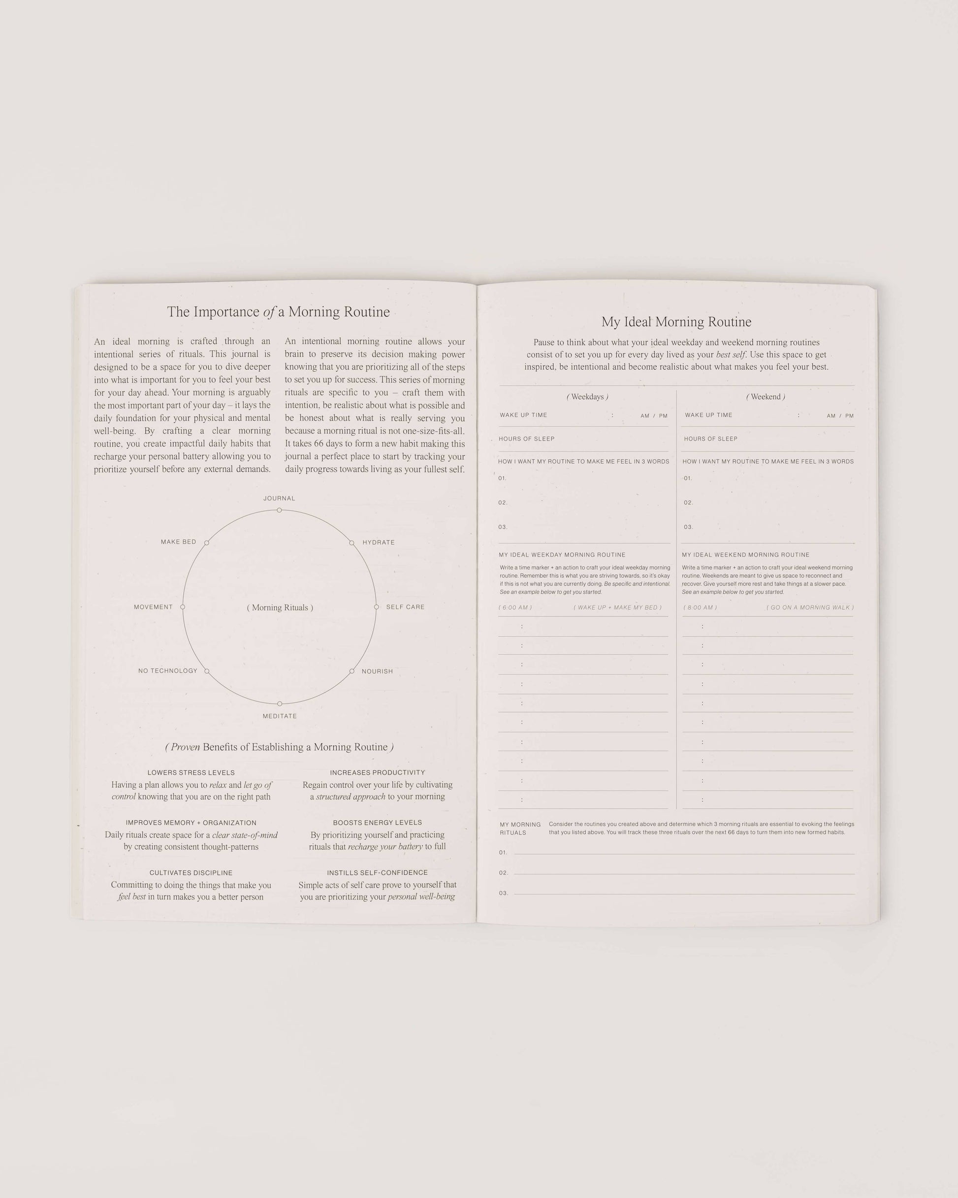 Wilde House Paper - Morning Routine Journal - faithfullyfocusd