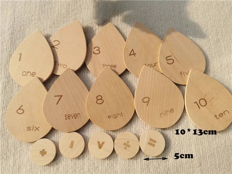 Wooden Montessori Sensory Toy Set Nature Sorting Trays-faithfullyfocusd